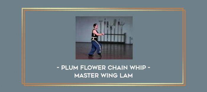Plum Flower Chain Whip - Master Wing Lam Online courses