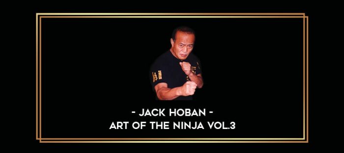 Jack Hoban - Art of the Ninja Vol.3 Online courses