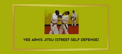 Vee Arnis Jitsu(street self defense) Online courses