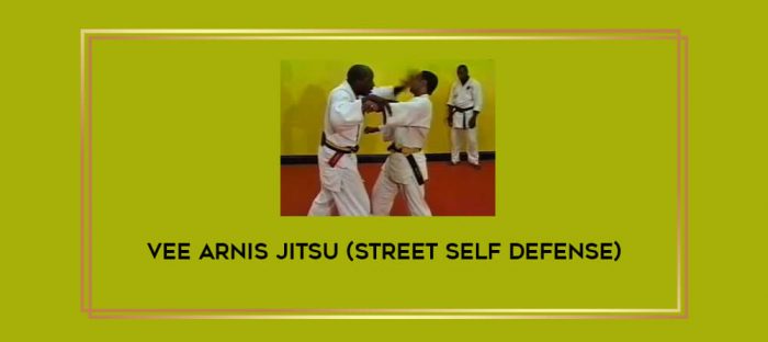 Vee Arnis Jitsu(street self defense) Online courses