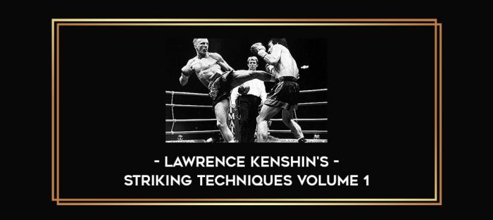 Lawrence Kenshin's Striking Techniques Volume 1 Online courses