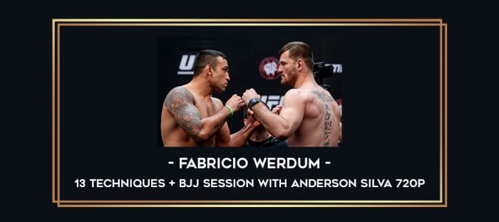 Fabricio Werdum - 13 Techniques + BJJ session with Anderson Silva 720p Online courses