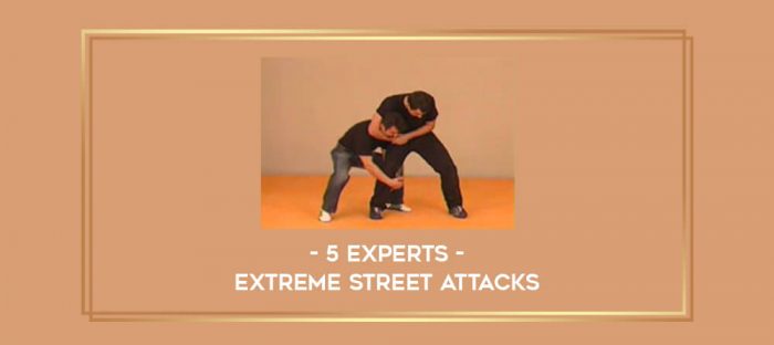 5 Experts - Extreme Street Attacks Online courses