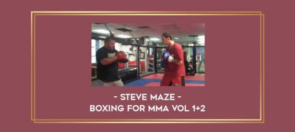 Steve Maze - Boxing for MMA Vol 1+2 Online courses