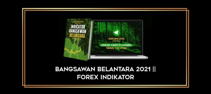 BANGSAWAN BELANTARA 2021 || Forex Indikator Online courses
