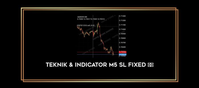 TEKNIK & INDICATOR M5 SL FIXED Online courses