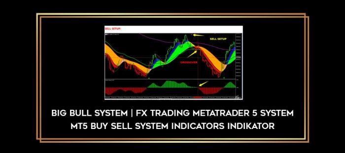 BIG BULL SYSTEM | Fx Trading MetaTrader 5 System MT5 Buy Sell System Indicators INDIKATOR Online courses