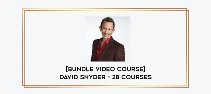 [Bundle Video Course] David Snyder - 28 Courses Online courses